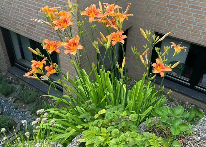 Mit Infrarotsauna Appartement Coesfeld