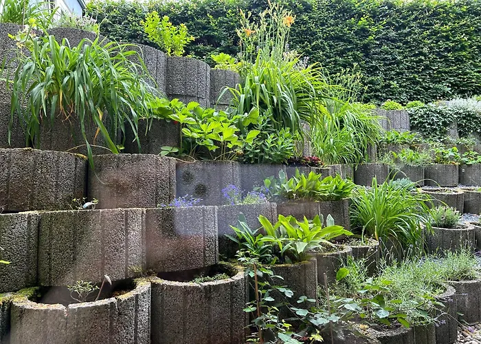 Mit Infrarotsauna Appartement